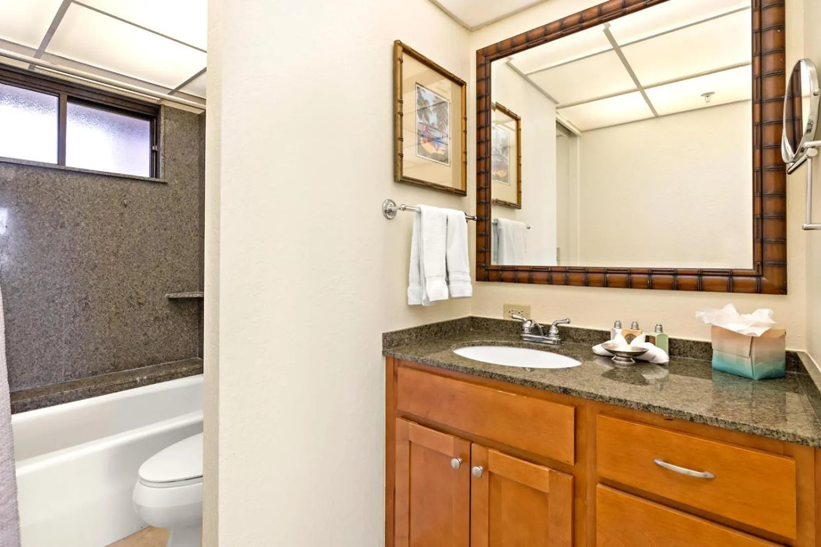 Kbm Resorts Free Car Kaanapali Shores Ks-535 Ocean View Steps To Pool And Beach