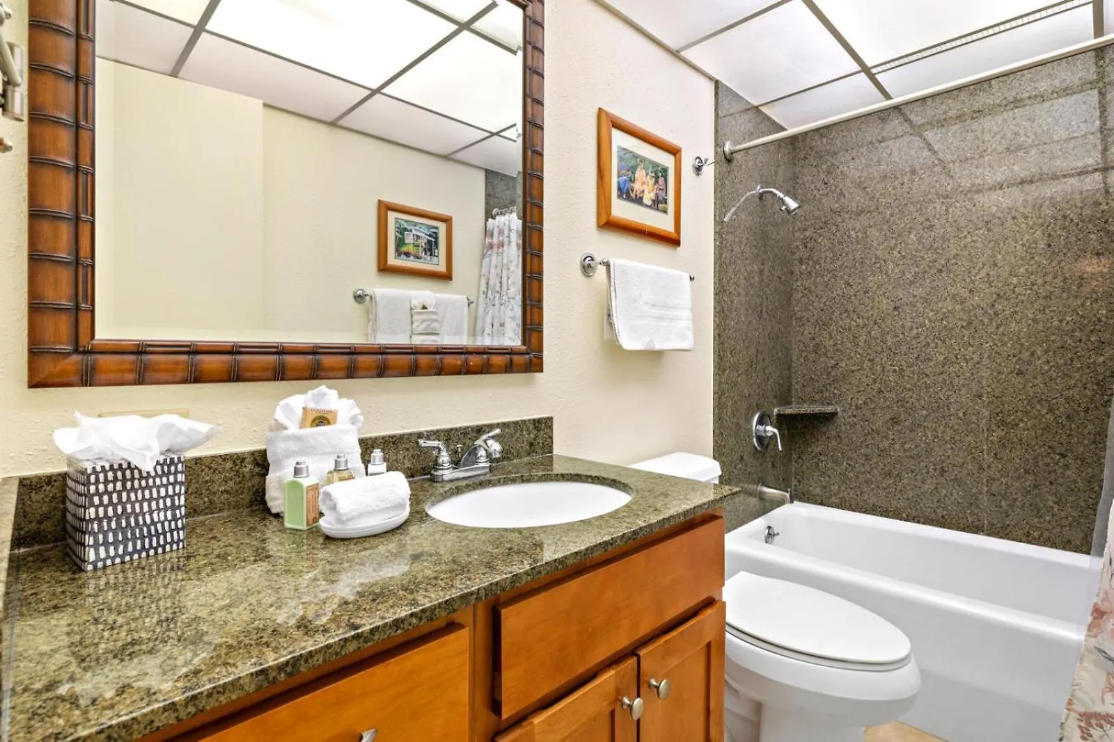 Kbm Resorts Free Car Kaanapali Shores Ks-535 Ocean View Steps To Pool And Beach United States