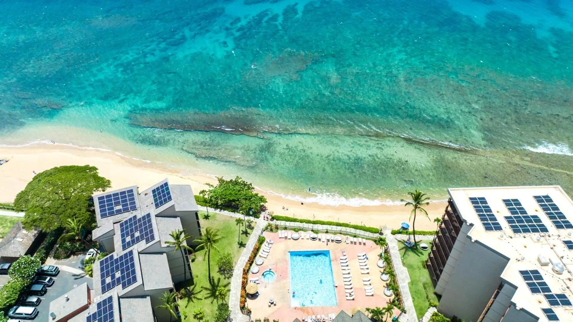 Apartment Kbm Resorts Free Car Kaanapali Shores Ks-535 Ocean View Steps To Pool And Beach United States