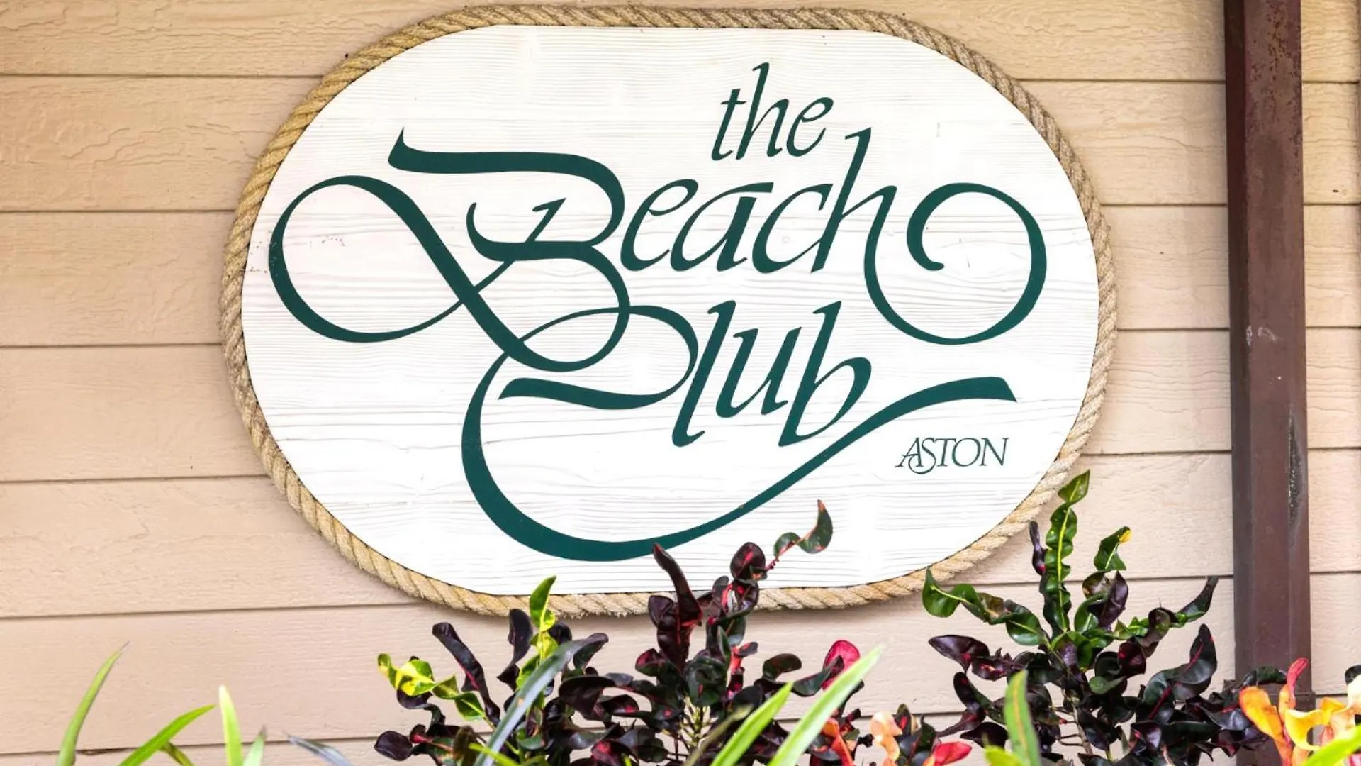 Kbm Resorts Free Car Kaanapali Shores Ks-535 Ocean View Steps To Pool And Beach Apartment
