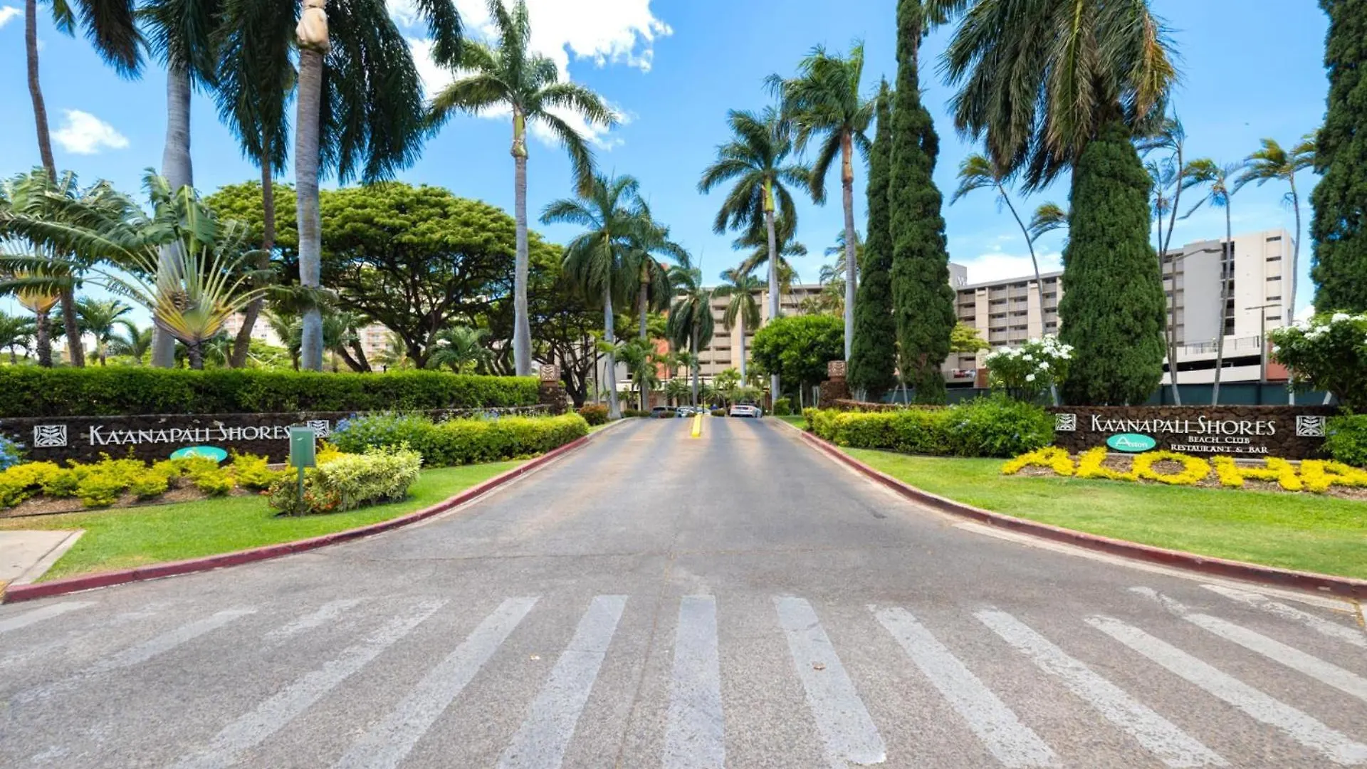 Apartment Kbm Resorts Free Car Kaanapali Shores Ks-535 Ocean View Steps To Pool And Beach United States