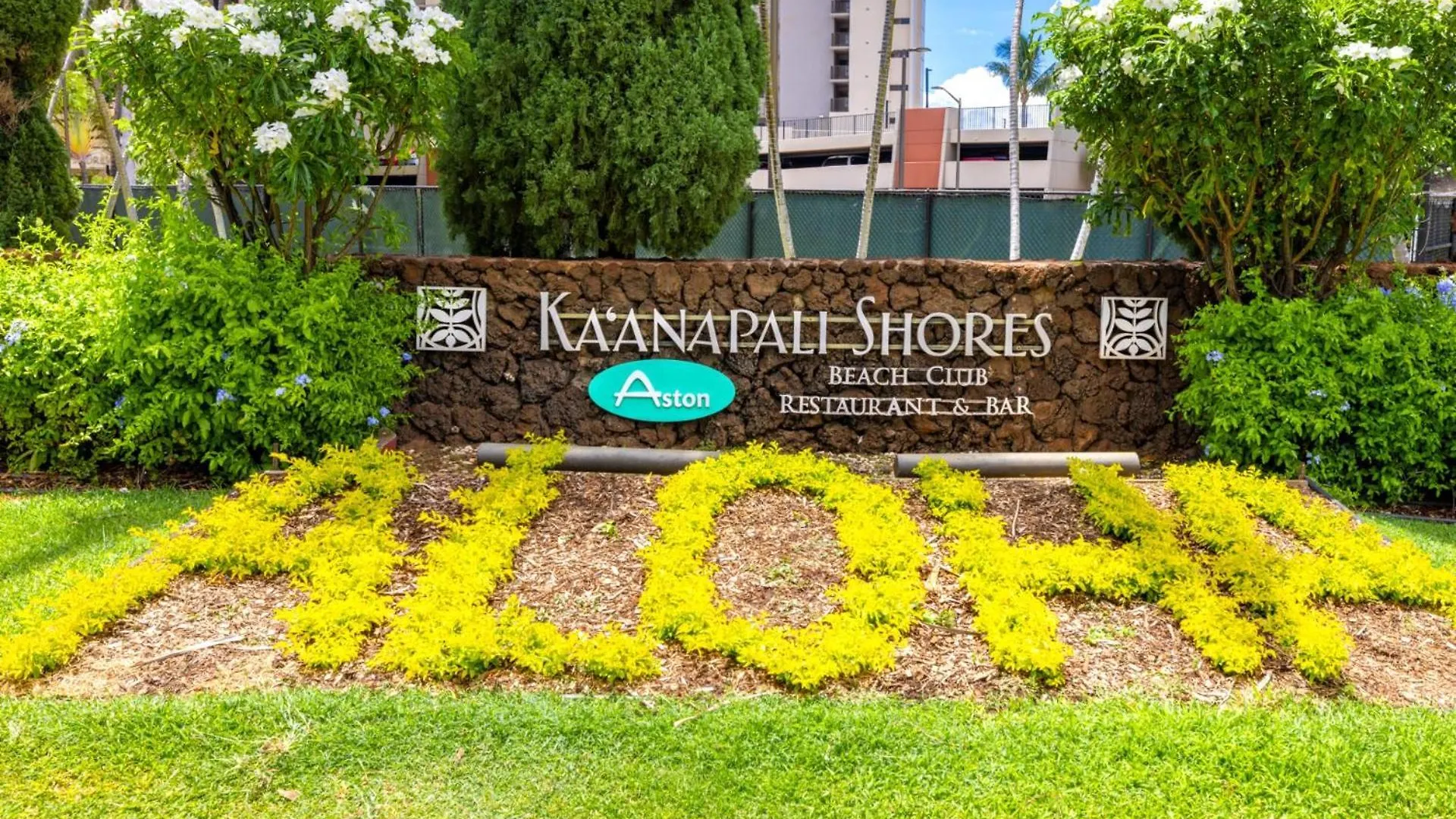 Kbm Resorts Free Car Kaanapali Shores Ks-535 Ocean View Steps To Pool And Beach