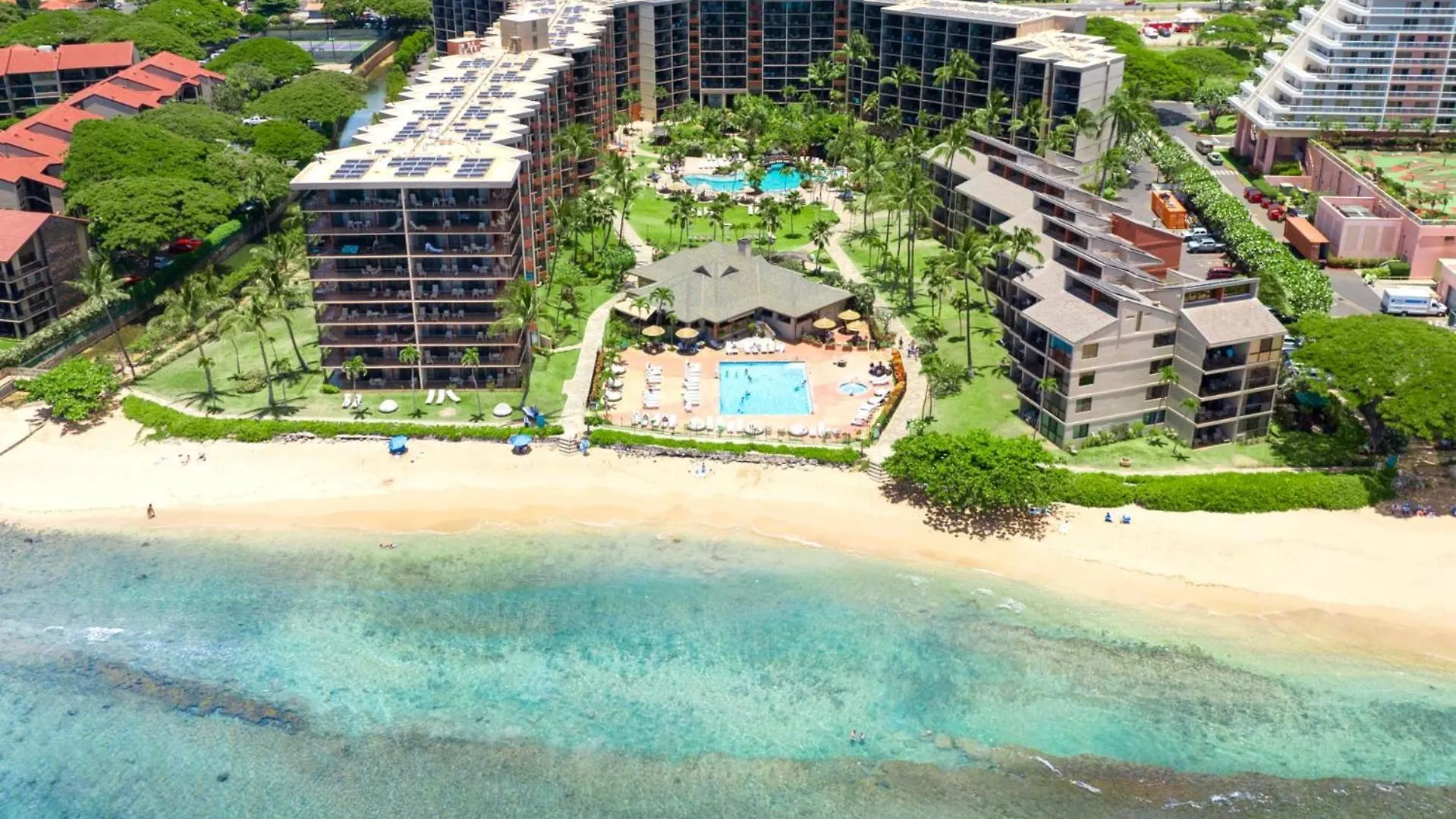 Apartment Kbm Resorts Free Car Kaanapali Shores Ks-535 Ocean View Steps To Pool And Beach
